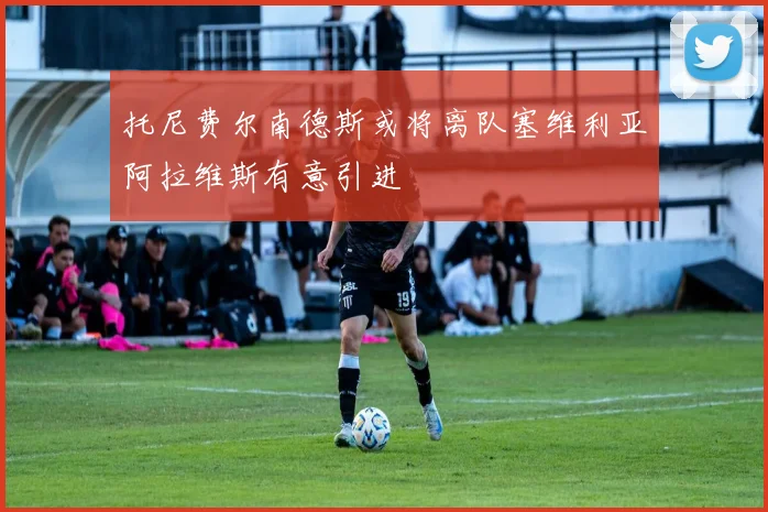 托尼费尔南德斯或将离队塞维利亚阿拉维斯有意引进